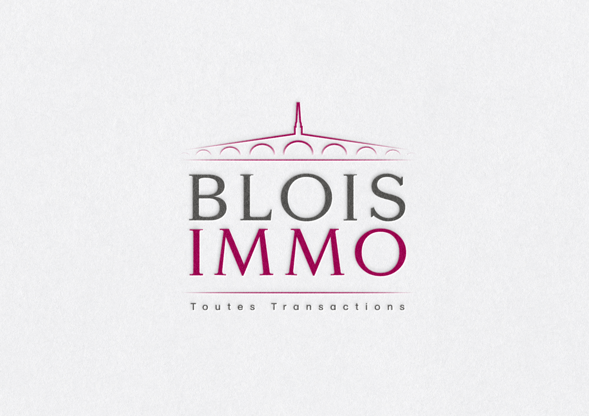 Création du logo BLOIS IMMO - Blois|textebrut