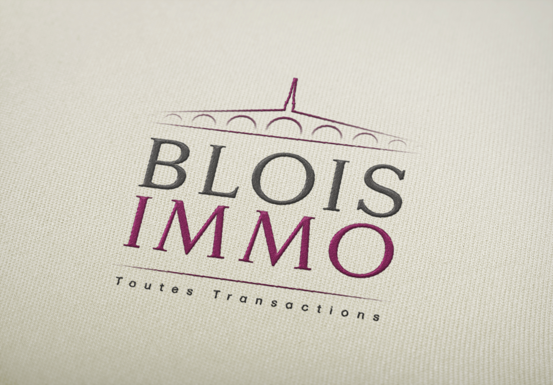 Création du logo BLOIS IMMO - Blois|textebrut