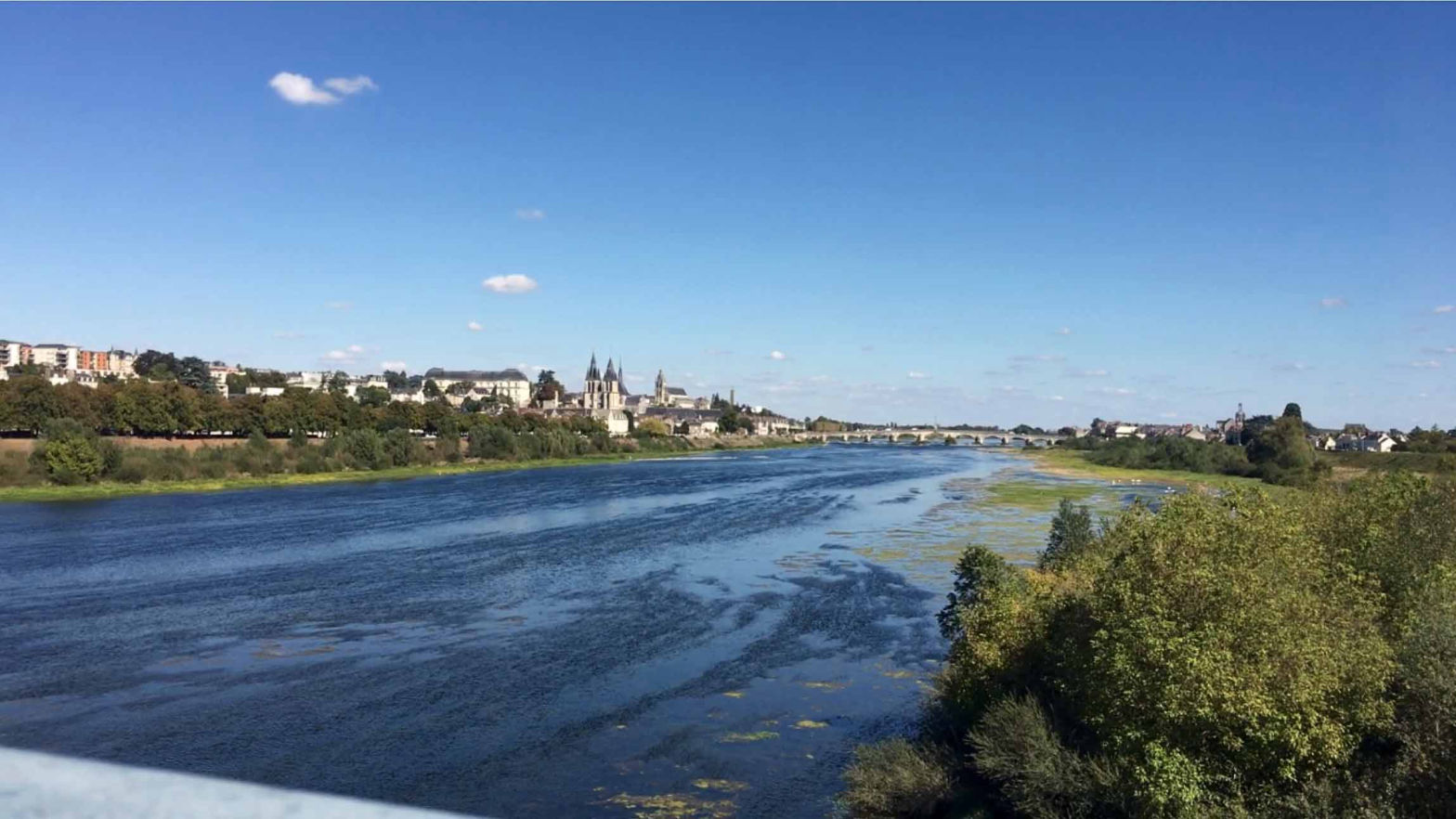 Vue de la ville de Blois depuis la Loire