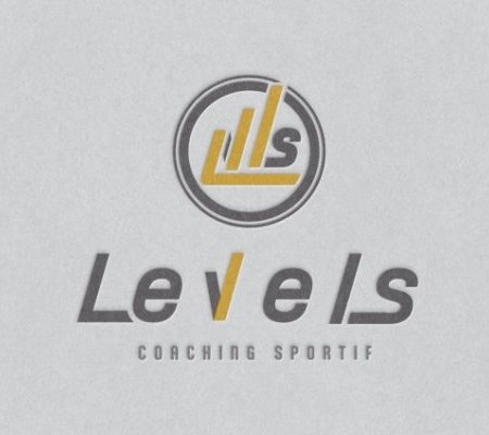 Création de l'identité d'entreprise : LEVELS