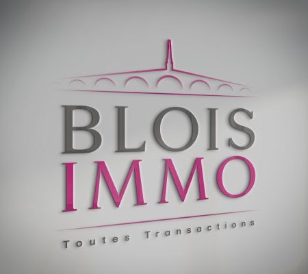 illustration de Création du logo BLOIS IMMO