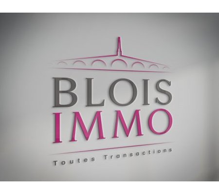 Création du logo BLOIS IMMO - Blois