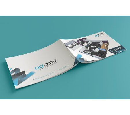 Plaquette commerciale Aodine