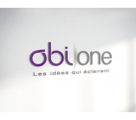 création du logo d'Obi|one - Blois