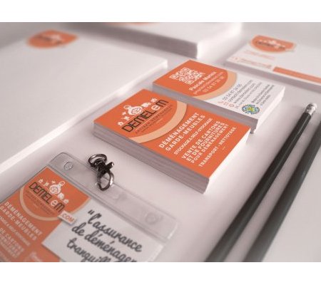 Création du logo DEMELEM