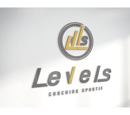 Création de l'identité d'entreprise : LEVELS