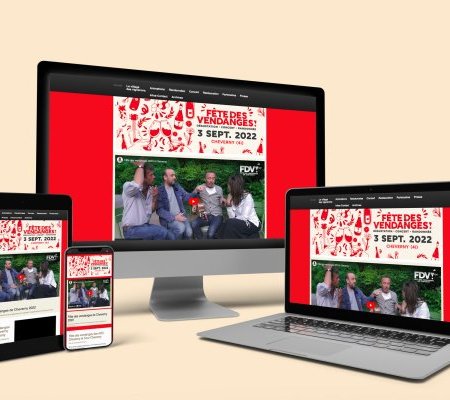 illustration de Site de la Fête des Vendanges de Cheverny